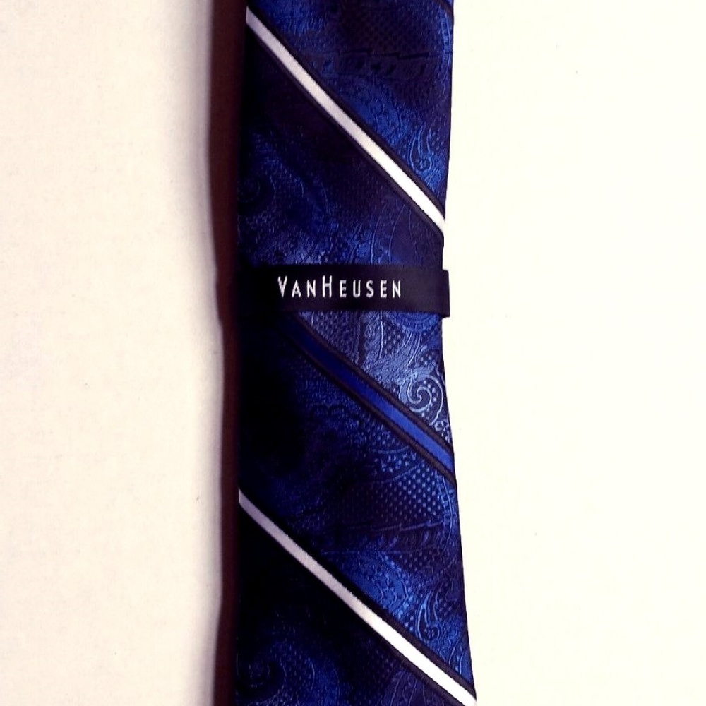 Van Heusen Men's Grand Textured Paisley Tie Blue
